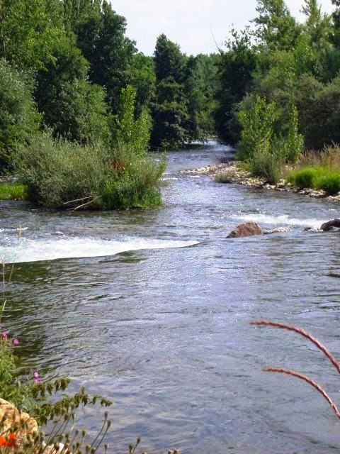 El río Órbigo entre vegetación, aguas quietas reflejando los árboles de la ribera leonesa.